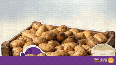 Kartoffeldemoanimation mit "rettet die Knolle".