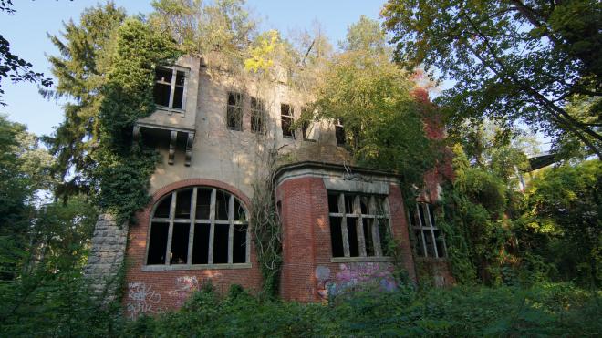 A majestic house stands among the trees and is surrounded by plants. 