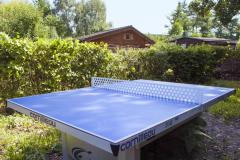 Gartenbereich: Tischtennisplatte / garden area: table tennis